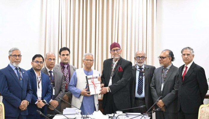 বিডিআর হত্যাকাণ্ডে দলগতভাবে জড়িত আ.লীগ: কমিশন