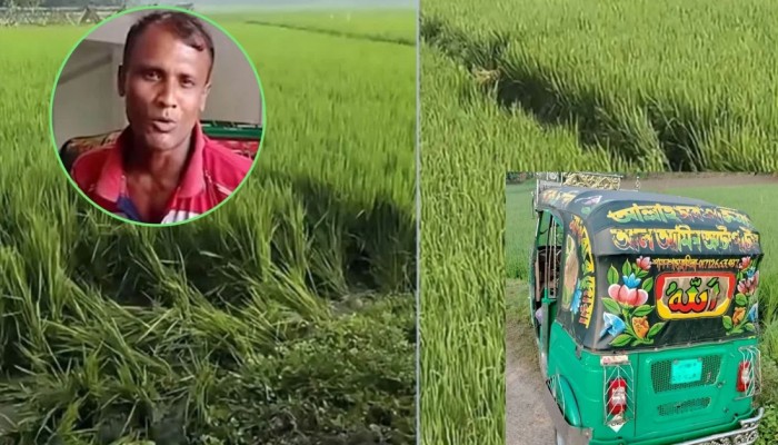 ​ধানক্ষেতে দৌড়াদৌড়ি-ধস্তাধস্তির চিহ্ন: জীবন বাঁচাতে পালানোর চেষ্টা করেছিল সেই ছাত্রী